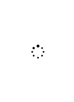 Image gif preloader